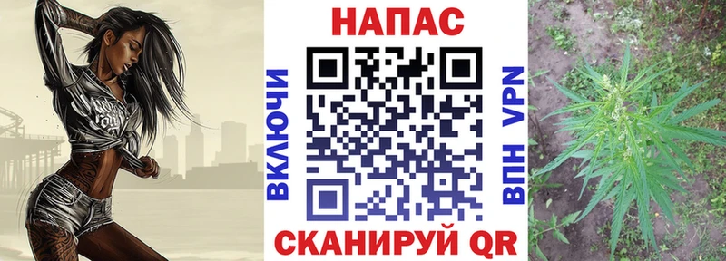 даркнет сайт  Киселёвск  МАРИХУАНА сатива 
